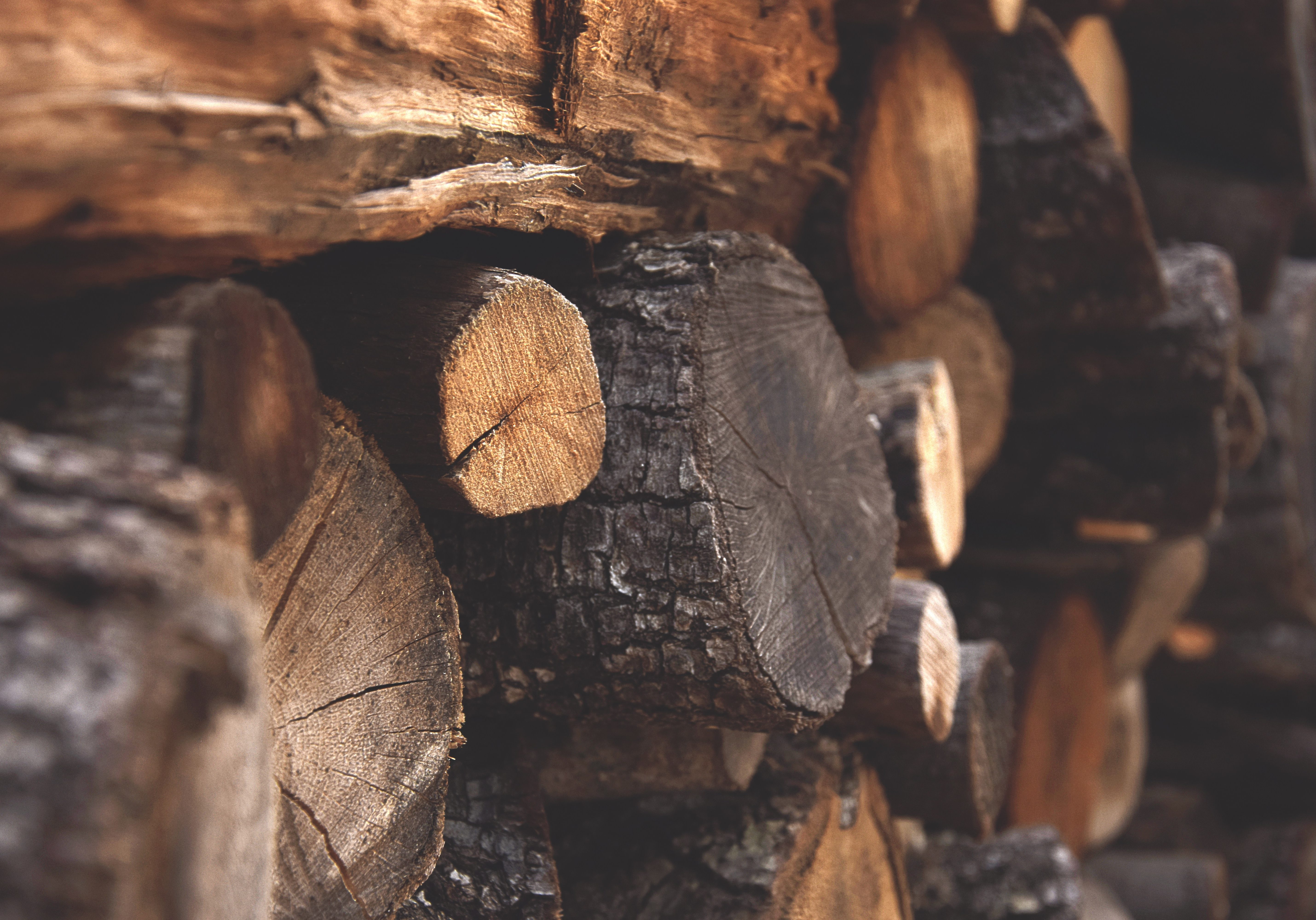 bark-chopped-wood-dark-122588